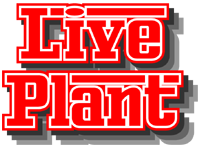 LivePlant Logo