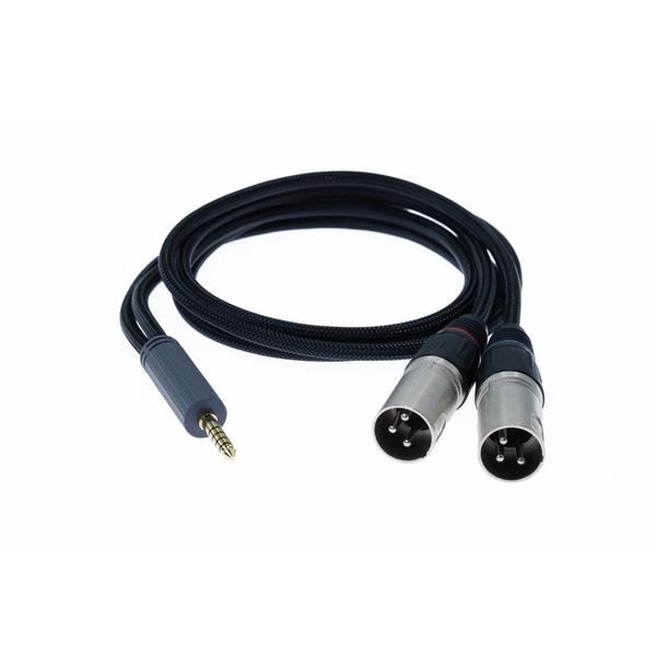 iFi Audio-4.4mm- 3pin XLRオス x 2バランスケーブル4.4 to XLR cable  SE
