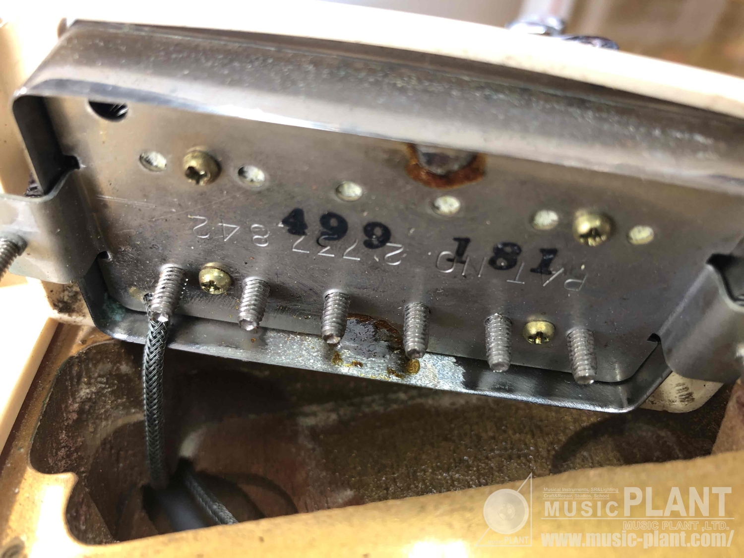 1981 Les Paul Standard Gold Top追加画像 1981 Les Paul Standard Gold Top追加画像