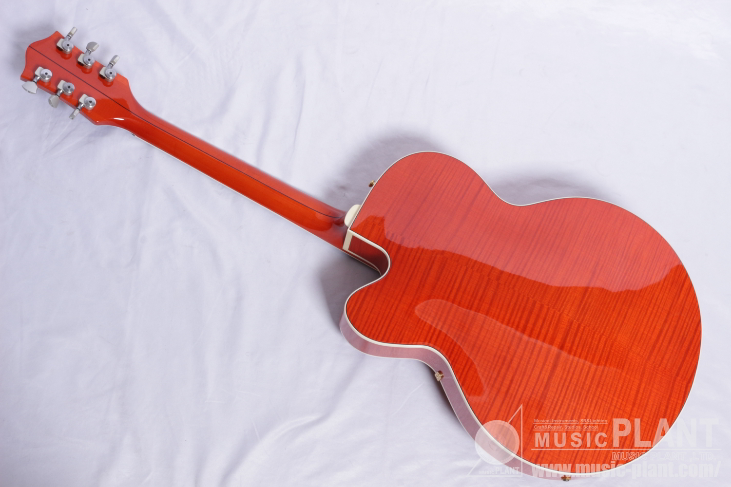 6120SSU Brian Setzer Nashville背面画像 6120SSU Brian Setzer Nashville背面画像