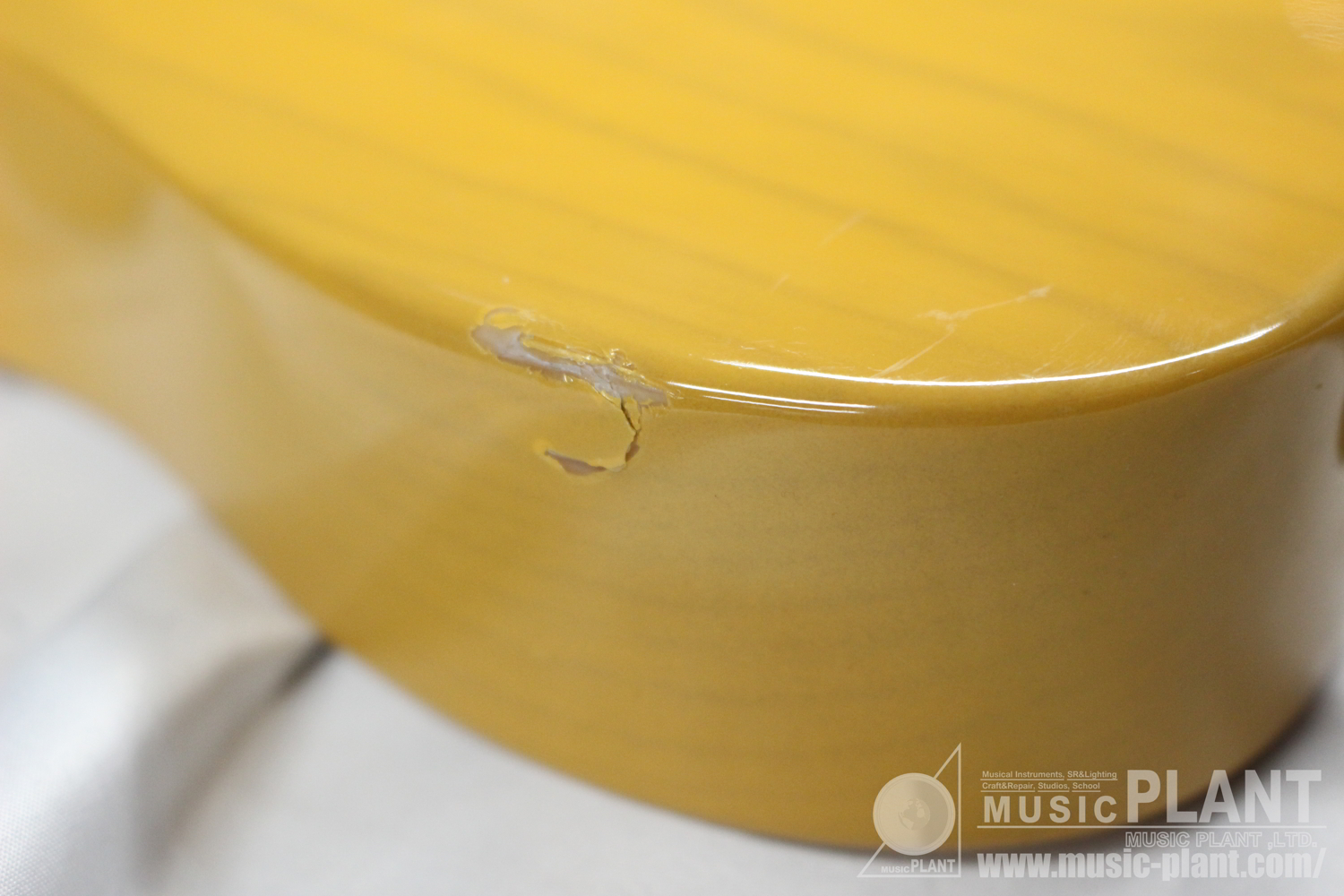 American Vintage II 1951 Telecaster Maple Fingerboard Butterscotch Blonde追加画像 American Vintage II 1951 Telecaster Maple Fingerboard Butterscotch Blonde追加画像