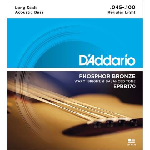 D'Addario

EPBB170 Phosphor Bronze Regular Light 45-100