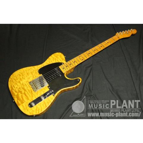 Telecaster typeサムネイル