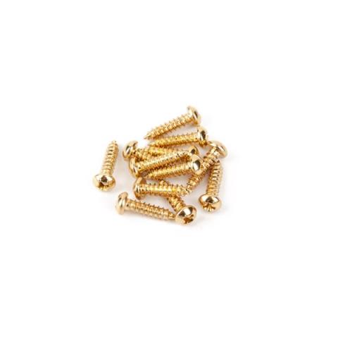 Pure Vintage Tuning Machine Mounting Screws, Gold, (12)サムネイル