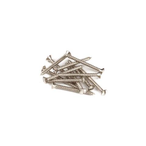Fender-ネジPure Vintage Slotted Telecaster Neck Mounting Screws, Nickel (12)