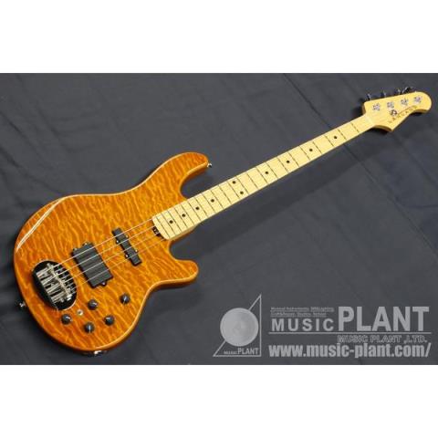 SL44-94 Deluxe Amber Translucent / Maple FBサムネイル