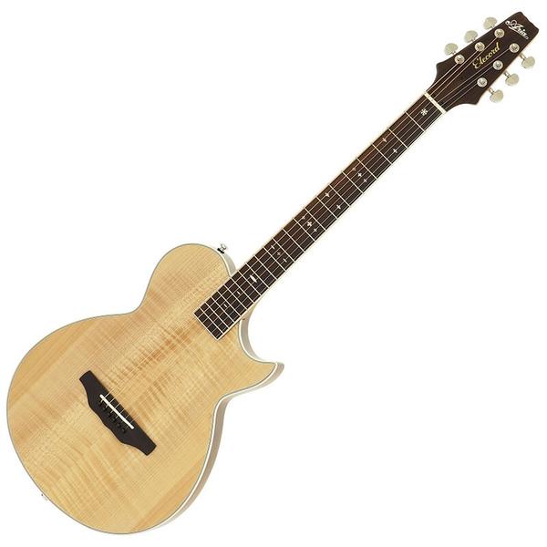 ARIA PRO II-エレクトリックアコースティックギターAPE-100 N