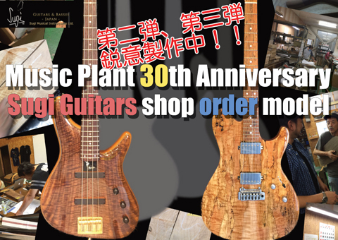 MUSIC PLANT 30th Anniversary Sugi Guitars Order Model