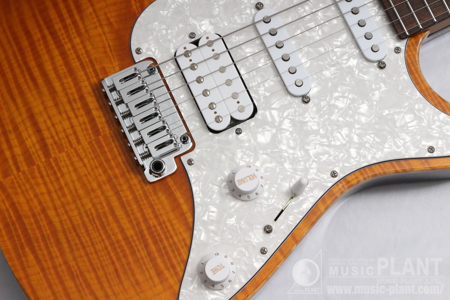 JE-Line Standard Plus Trans Amber with Hard Case 【OUTLET】追加画像 JE-Line Standard Plus Trans Amber with Hard Case 【OUTLET】追加画像