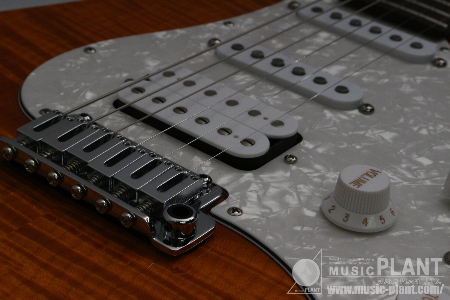 JE-Line Standard Plus Trans Amber with Hard Case 【OUTLET】追加画像 JE-Line Standard Plus Trans Amber with Hard Case 【OUTLET】追加画像