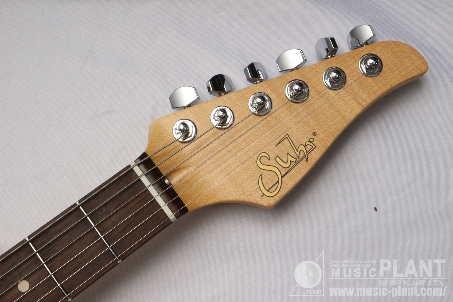 Classic S Antique SFG/R HSS Surf Greenヘッド画像 Classic S Antique SFG/R HSS Surf Greenヘッド画像