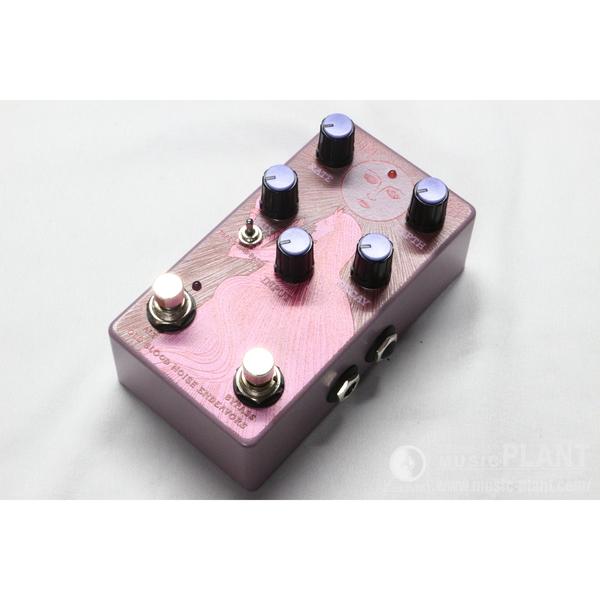 Old Blood Noise Endeavors(OBNE)-Dynamic Hold ReverbSUNLIGHT