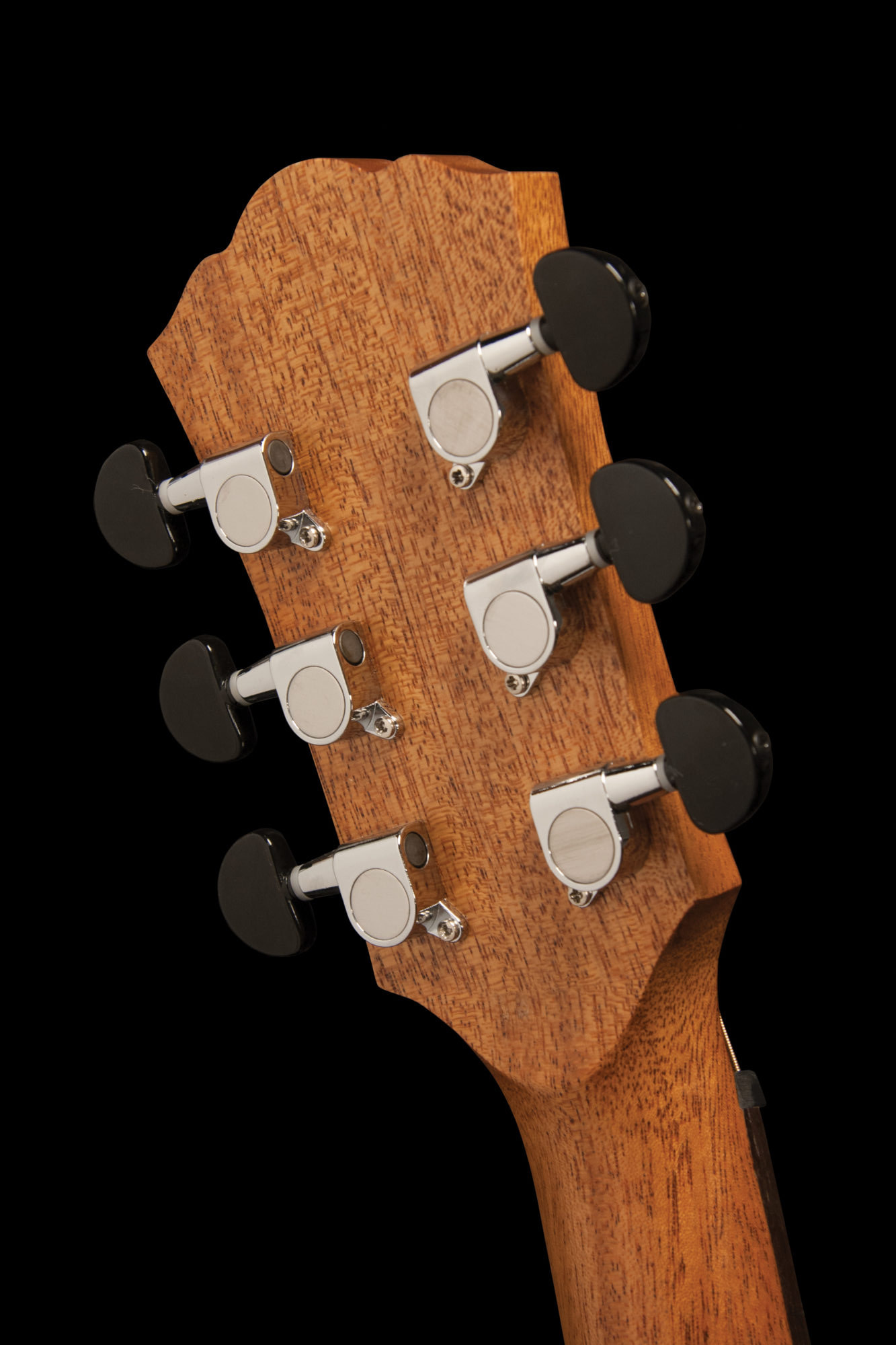 G-MINI 5 NATURAL追加画像 G-MINI 5 NATURAL追加画像