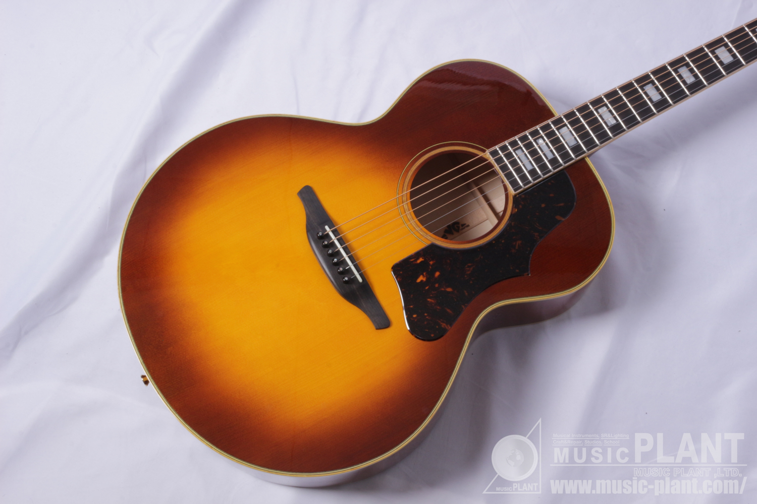 VG-J Maple BS追加画像 VG-J Maple BS追加画像