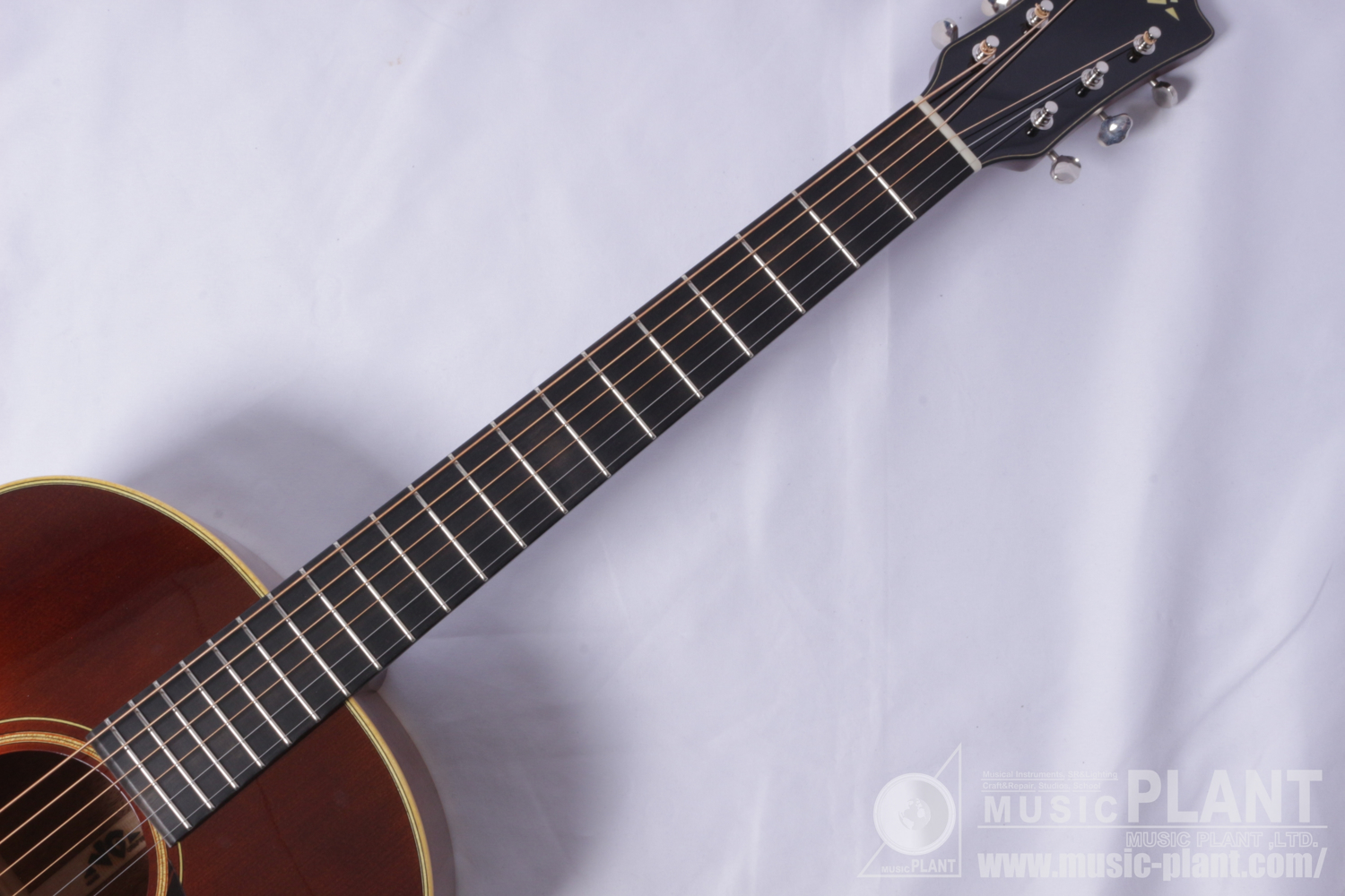 VG-03 Mahogany BS追加画像 VG-03 Mahogany BS追加画像