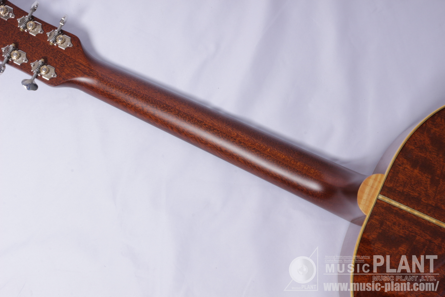 VG-03 Mahogany BS追加画像 VG-03 Mahogany BS追加画像