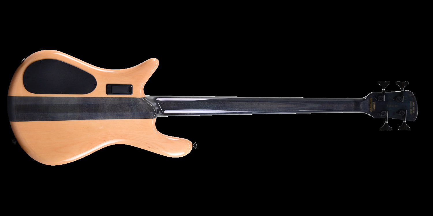 Euro4 LX Japan Exclusive Spalted Maple背面画像 Euro4 LX Japan Exclusive Spalted Maple背面画像