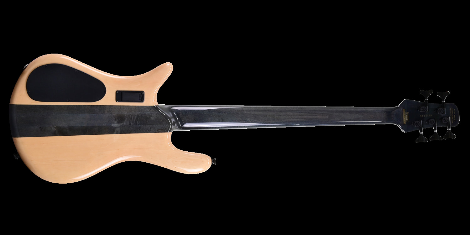 Euro5 LX Japan Exclusive Spalted Maple背面画像 Euro5 LX Japan Exclusive Spalted Maple背面画像