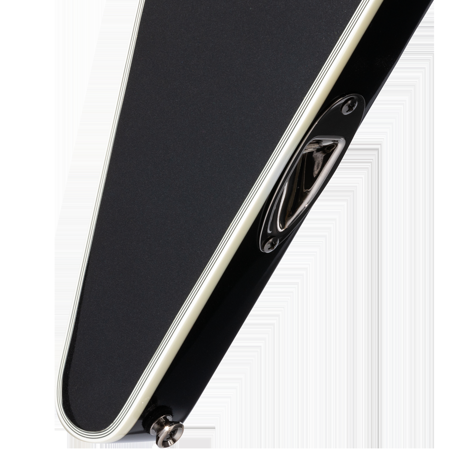 Dave Mustaine Flying V Custom追加画像 Dave Mustaine Flying V Custom追加画像