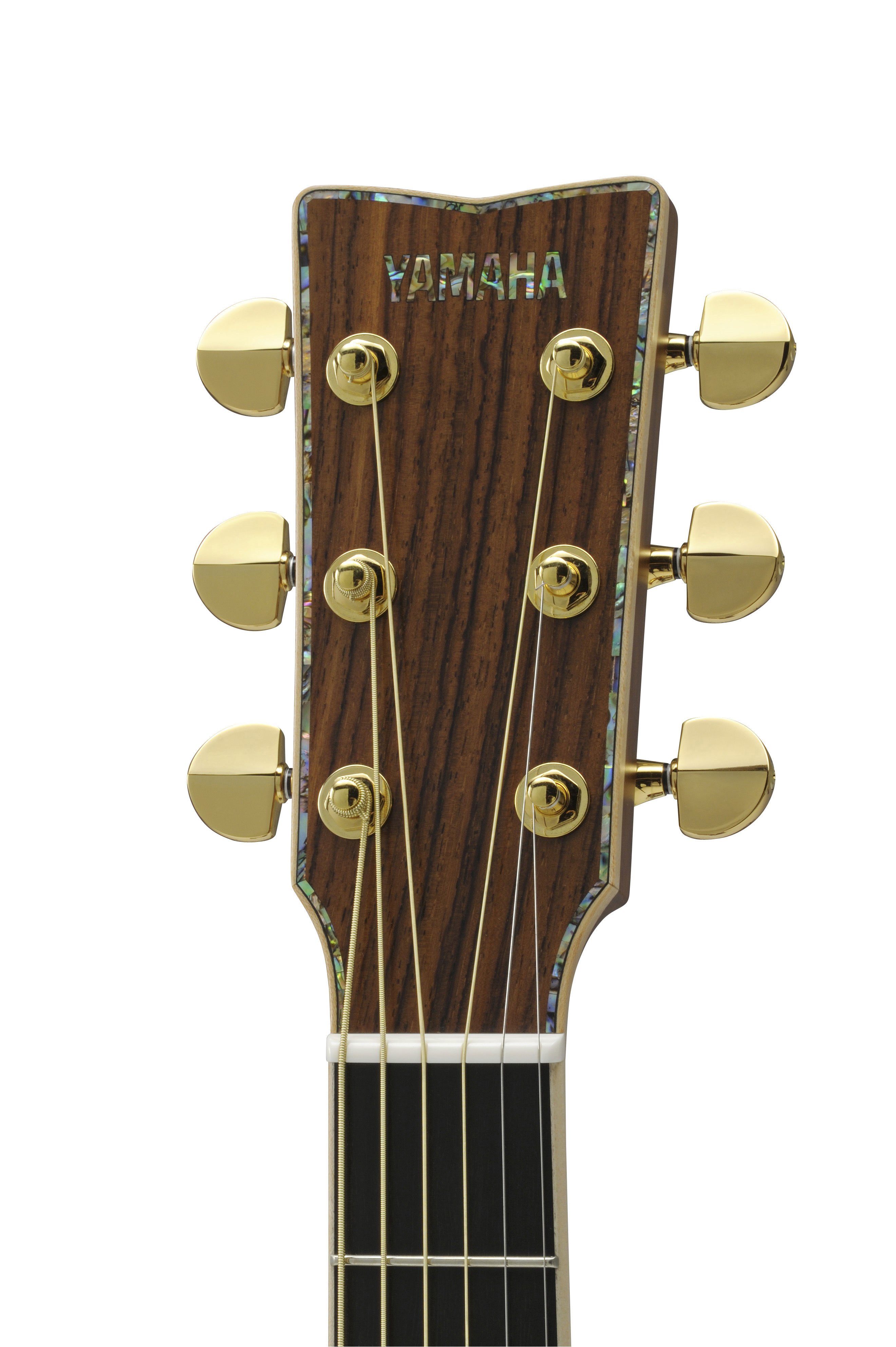 LJ56 Custom NT AREヘッド画像 LJ56 Custom NT AREヘッド画像
