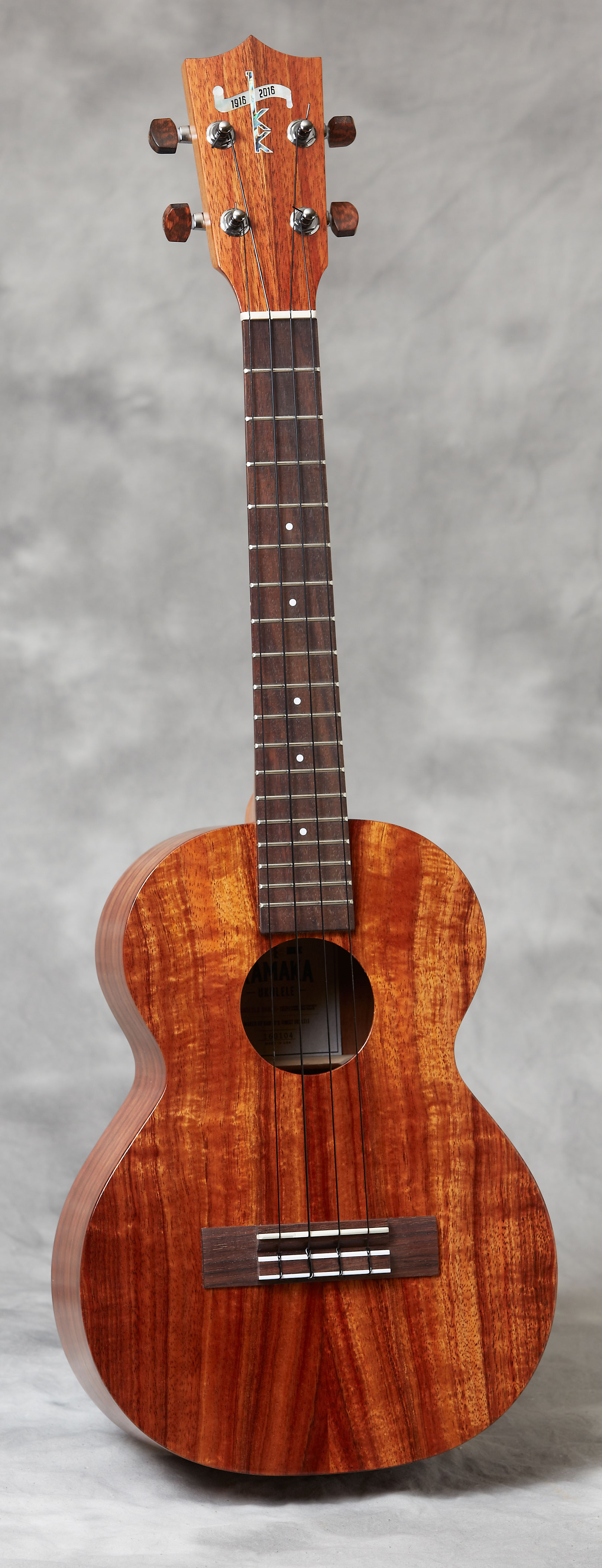 TENOR HF-3 4-Strings追加画像 TENOR HF-3 4-Strings追加画像