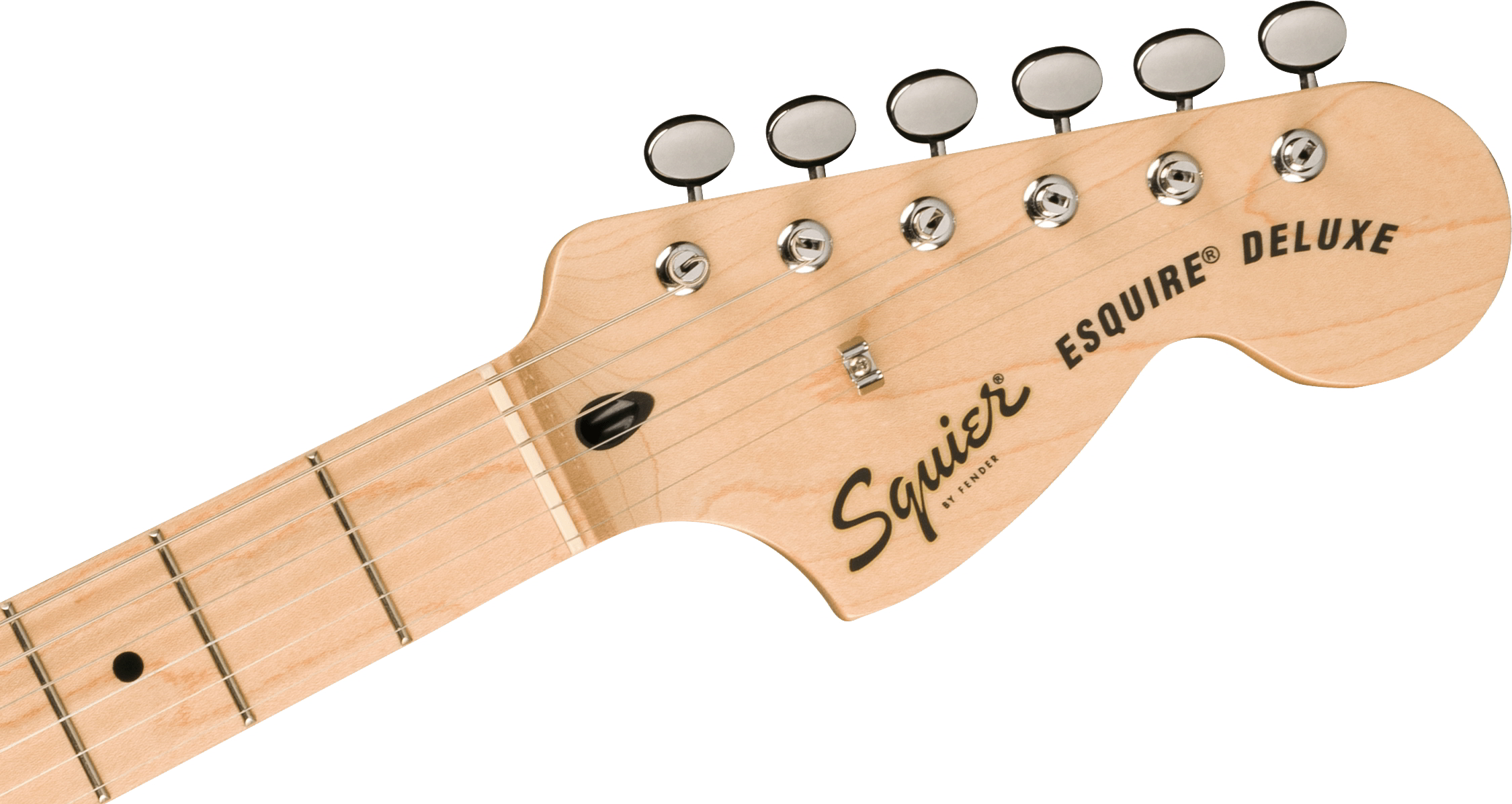 Paranormal Esquire® Deluxe, Maple Fingerboard, Black Pickguard, Metallic Black追加画像 Paranormal Esquire® Deluxe, Maple Fingerboard, Black Pickguard, Metallic Black追加画像