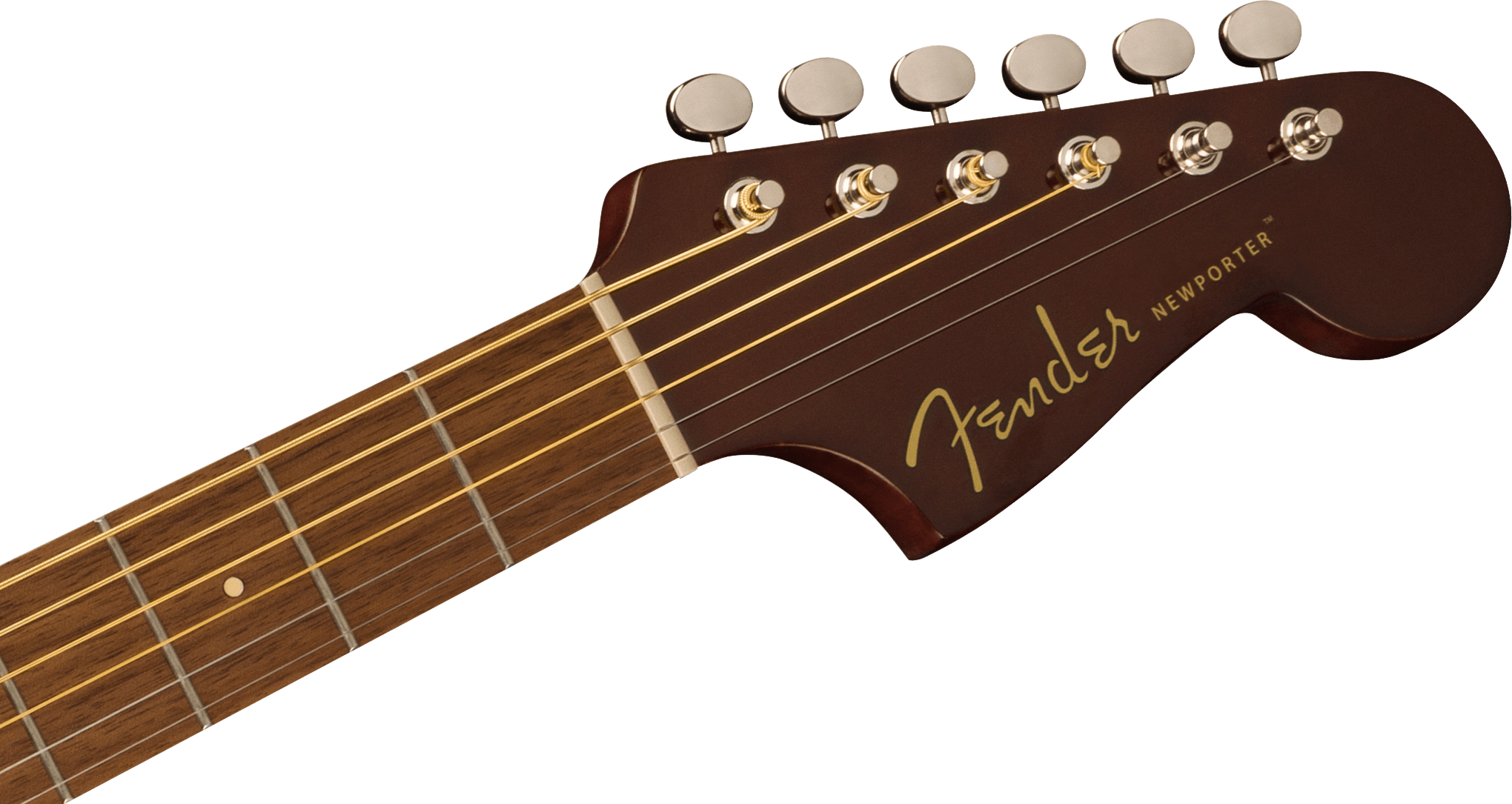 Newporter Player, Walnut Fingerboard, Gold Pickguard, Sunburst追加画像 Newporter Player, Walnut Fingerboard, Gold Pickguard, Sunburst追加画像