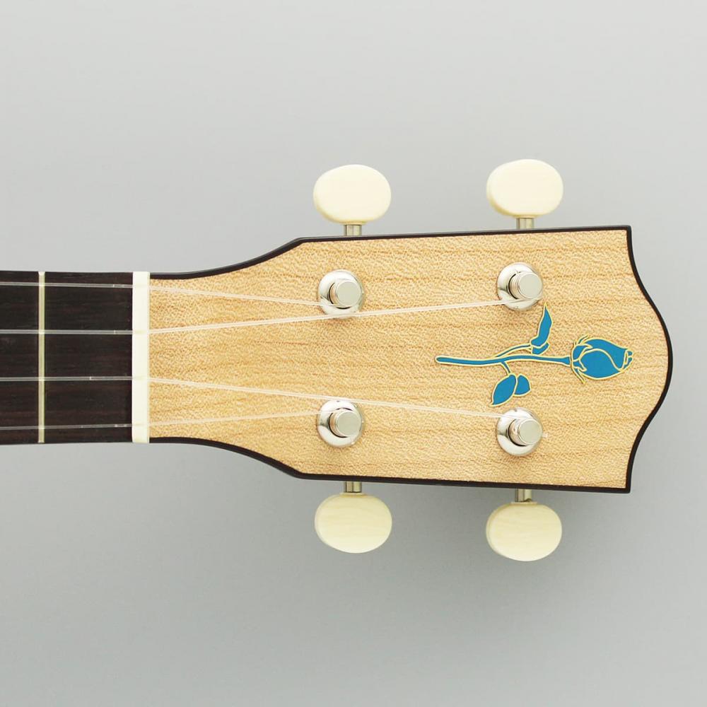 FUS-TS-02ヘッド画像 FUS-TS-02ヘッド画像