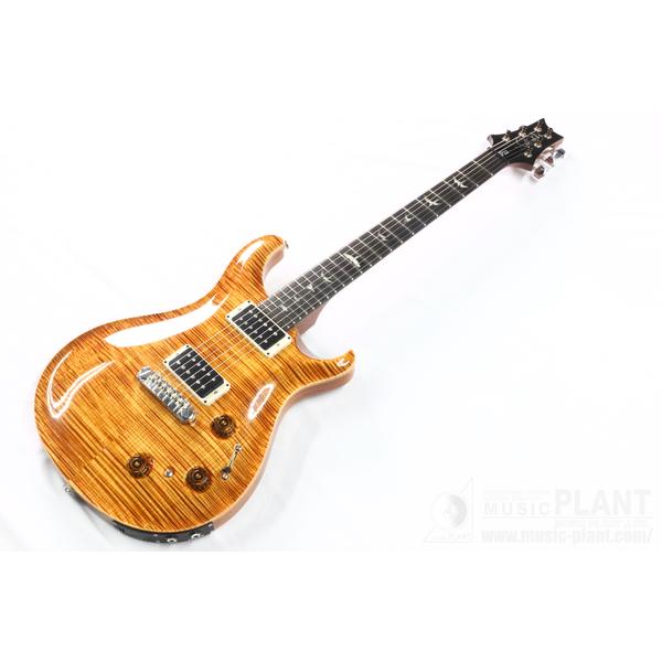 Paul Reed Smith (PRS)

2016 namm show P22 Artist Package Copperhead