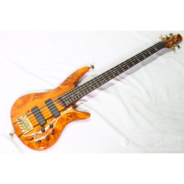 Ibanez-エレキベースSR805 AM
