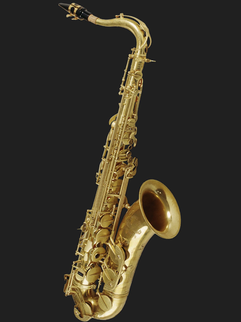 T5 Tenor "MadMeg" Unlacquer追加画像 T5 Tenor "MadMeg" Unlacquer追加画像