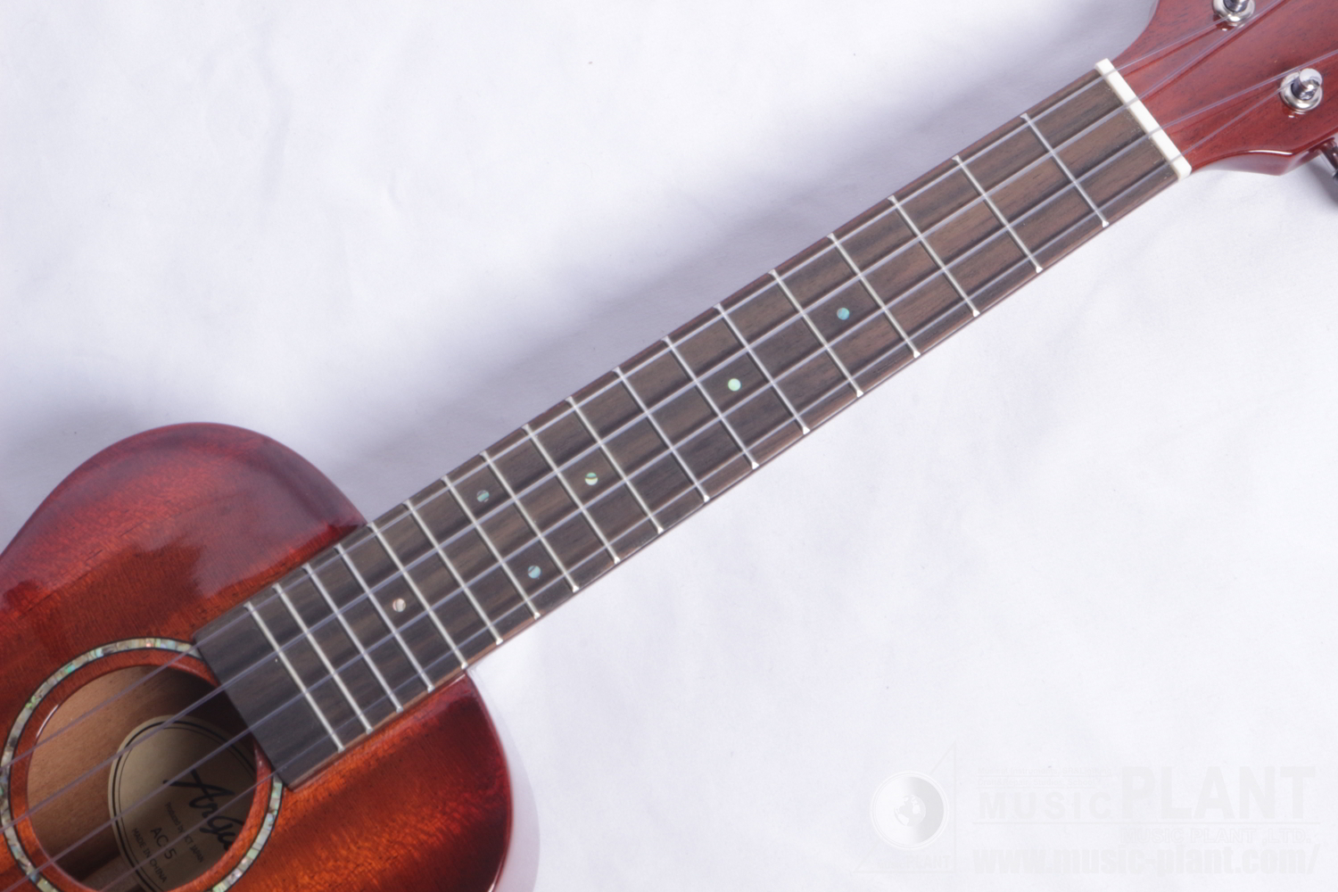 AC-5 Concert Ukulele追加画像 AC-5 Concert Ukulele追加画像