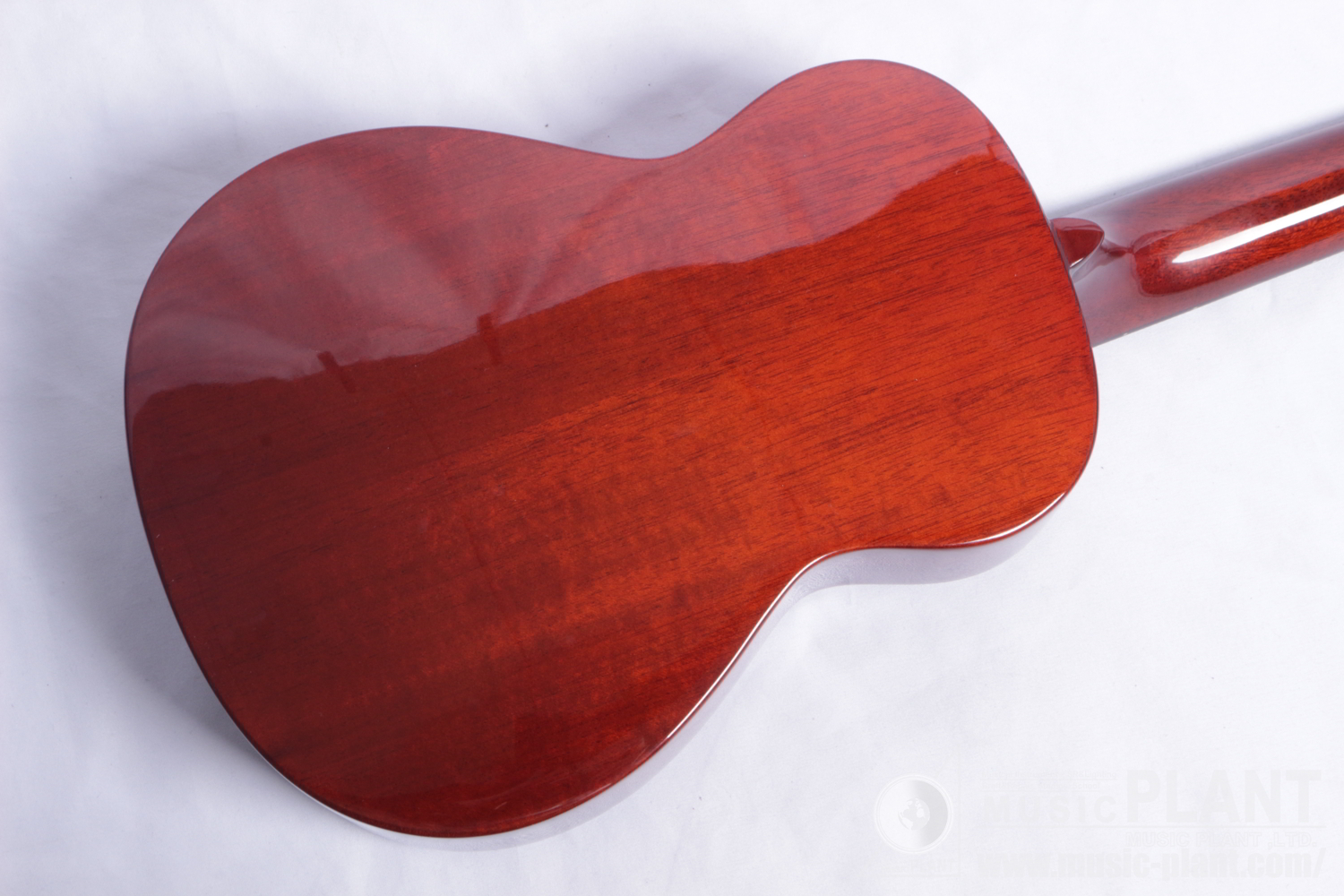 AC-5 Concert Ukulele追加画像 AC-5 Concert Ukulele追加画像
