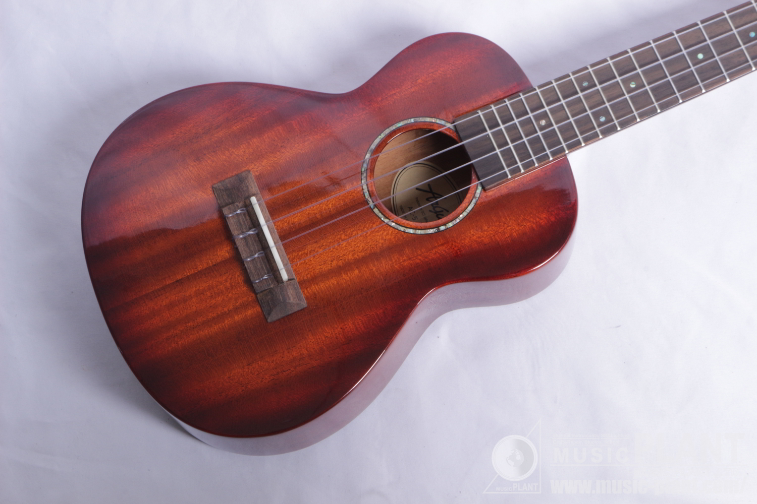 AC-5 Concert Ukulele追加画像 AC-5 Concert Ukulele追加画像