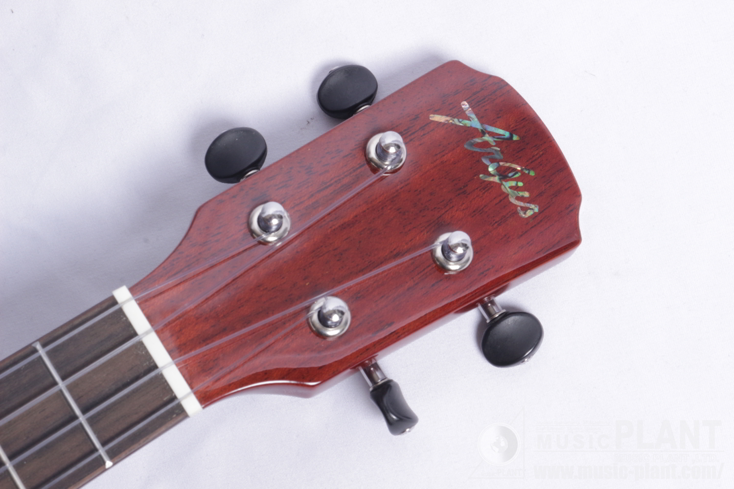 AC-5 Concert Ukuleleヘッド画像 AC-5 Concert Ukuleleヘッド画像