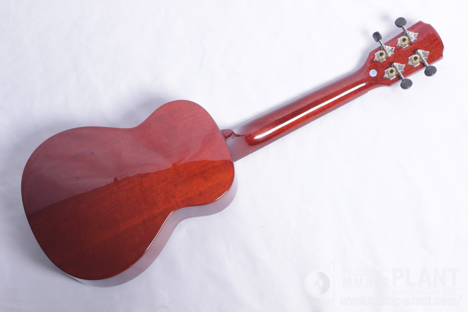 AC-5 Concert Ukulele背面画像 AC-5 Concert Ukulele背面画像