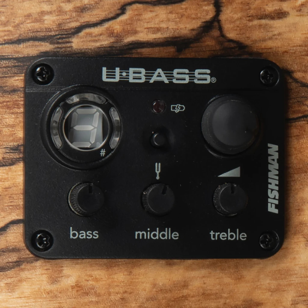 UBASS-SP-MNG-FS Spalted Mango U-Bassパネル画像 UBASS-SP-MNG-FS Spalted Mango U-Bassパネル画像