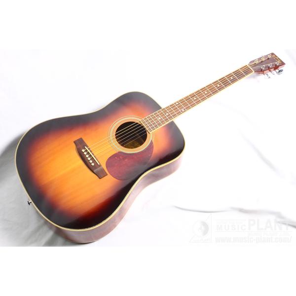 Stafford-アコースティックギター
SF250D BS