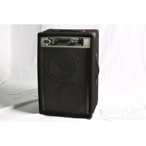Ampeg-ベース用コンボアンプPBC2210J