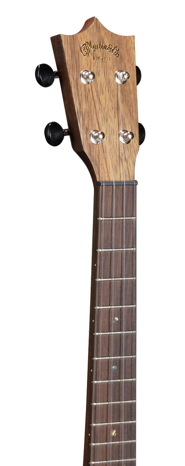 TKE Ukeヘッド画像 TKE Ukeヘッド画像