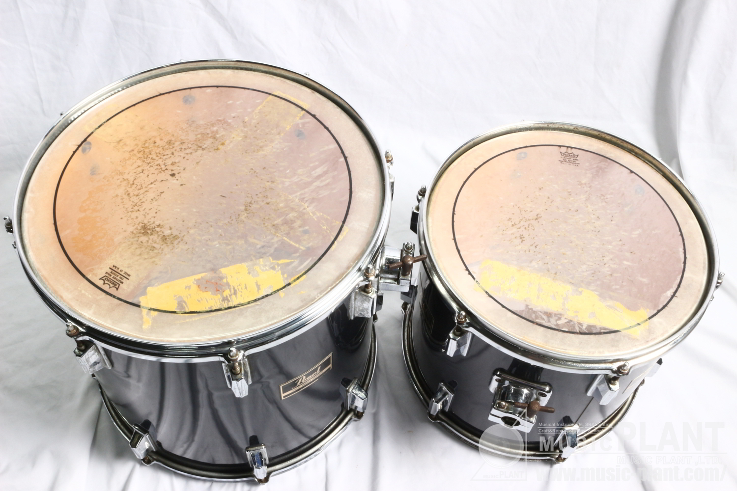 Wild Wing Series Set WD-22追加画像 Wild Wing Series Set WD-22追加画像