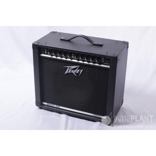 PEAVEY-エレキギターアンプコンボENVOY 110