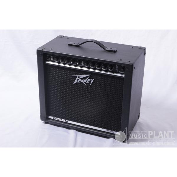 PEAVEY

ENVOY 110