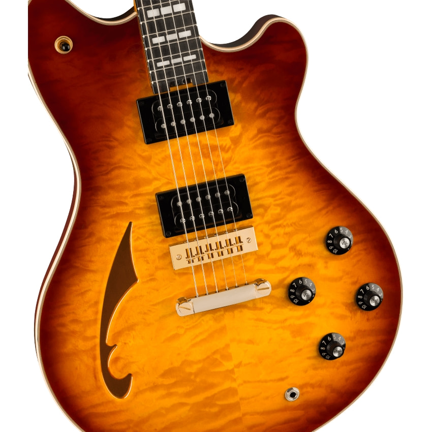 SA-126 Special, QM, Tobacco Sunburst追加画像 SA-126 Special, QM, Tobacco Sunburst追加画像