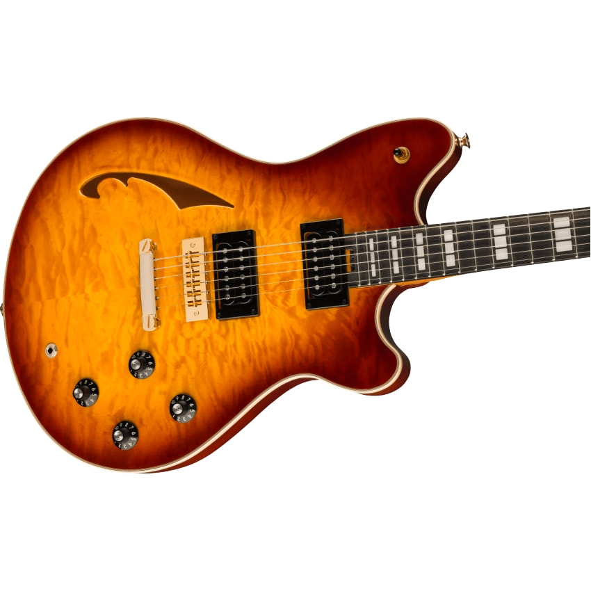 SA-126 Special, QM, Tobacco Sunburst追加画像 SA-126 Special, QM, Tobacco Sunburst追加画像
