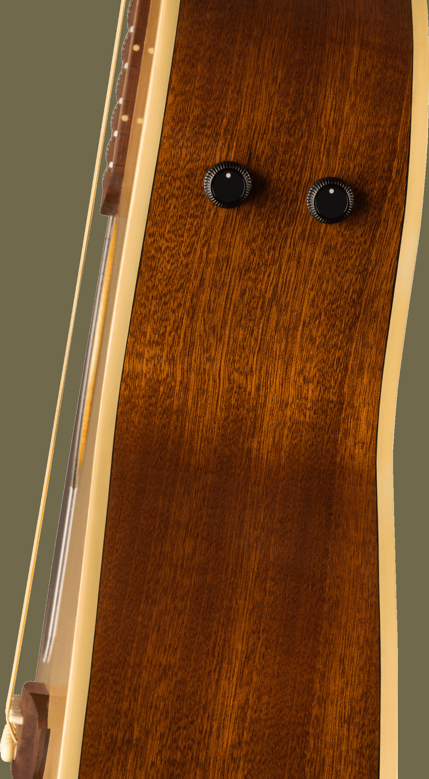 Newporter Player Left-Handed, Walnut Fingerboard, Gold Pickguard, Natural追加画像 Newporter Player Left-Handed, Walnut Fingerboard, Gold Pickguard, Natural追加画像