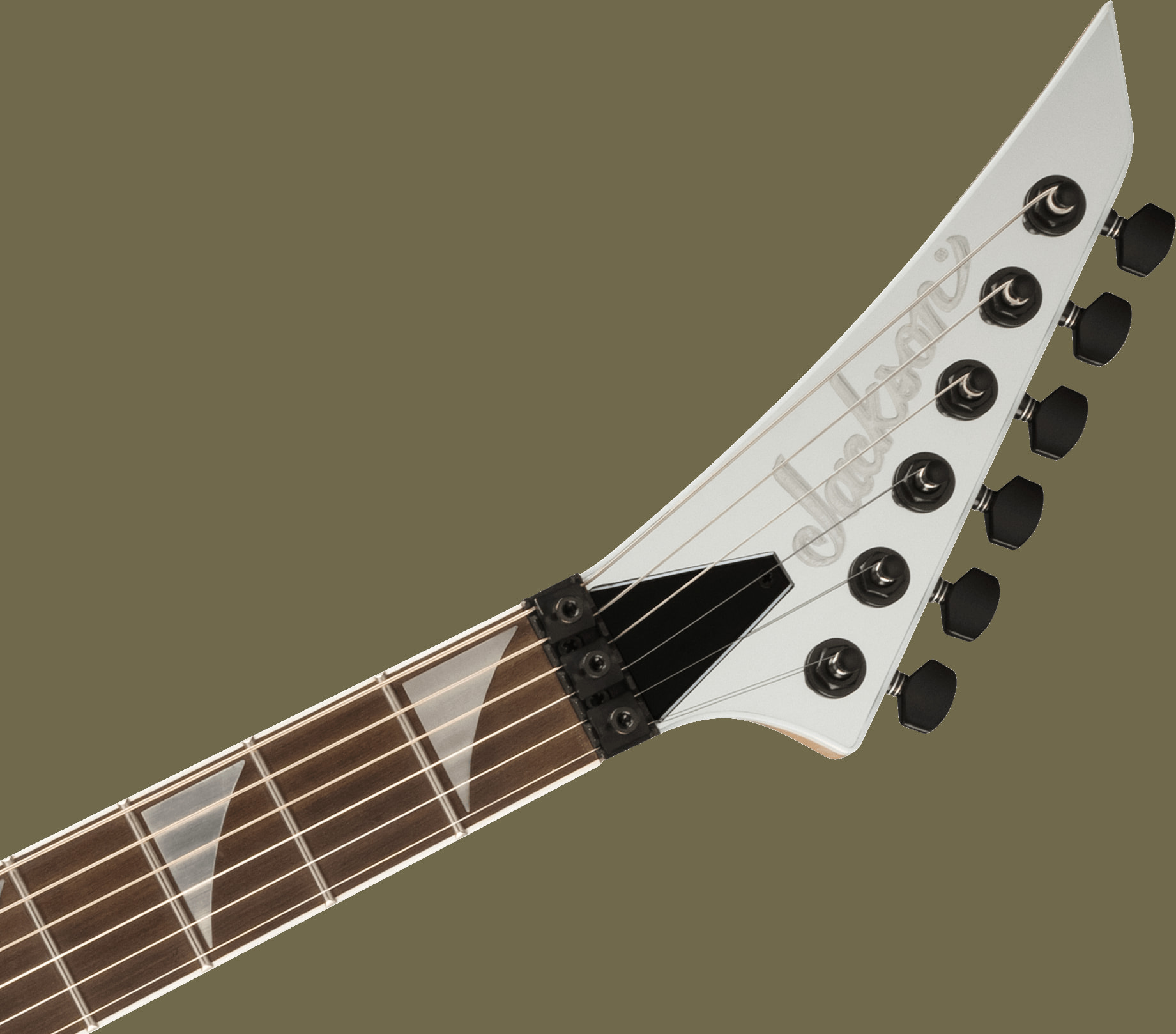 Pro Plus Series Rhoads RR24, Ebony Fingerboard, Mirror追加画像 Pro Plus Series Rhoads RR24, Ebony Fingerboard, Mirror追加画像