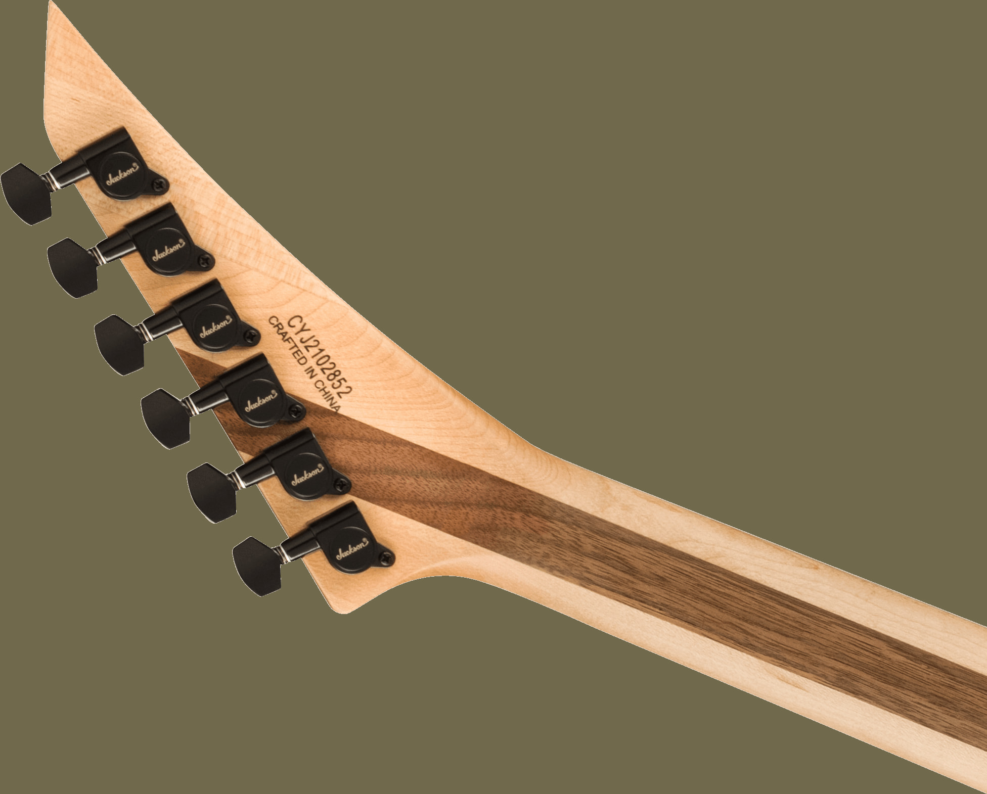 Pro Plus Series Rhoads RR24, Ebony Fingerboard, Mirror追加画像 Pro Plus Series Rhoads RR24, Ebony Fingerboard, Mirror追加画像