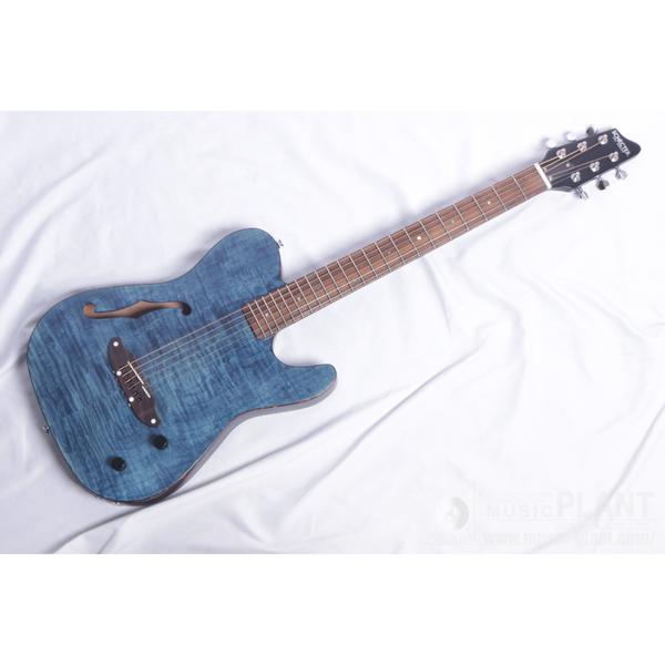 SCHECTER-エレアコOL-FL-FM-P/SSTB