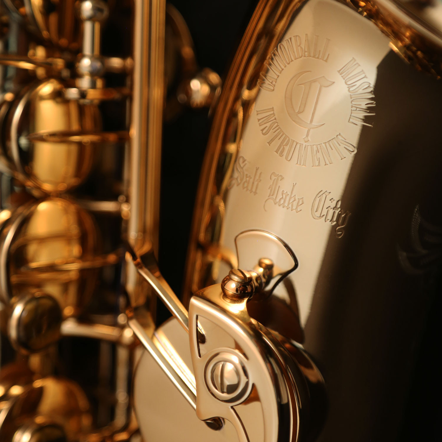 A4-L Alto Gold Lacquer追加画像 A4-L Alto Gold Lacquer追加画像